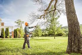 Best Lawn Drainage Solutions  in Hunter, TN