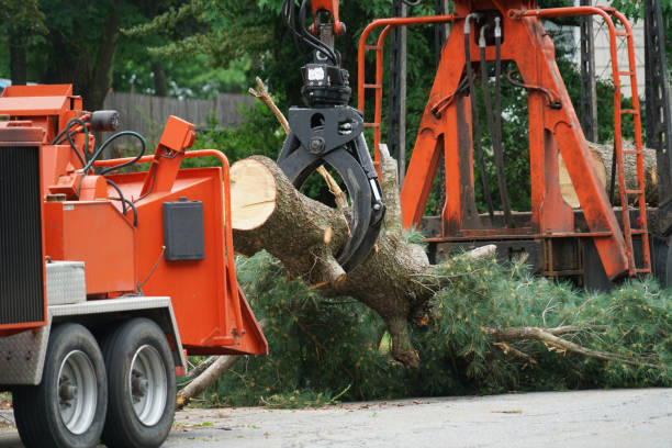 Best Lawn Mowing  in Hunter, TN